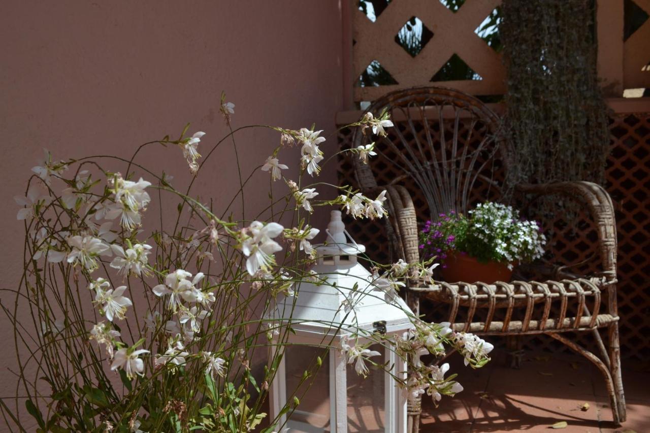Into The Wild Green B&B Alguer Exterior foto