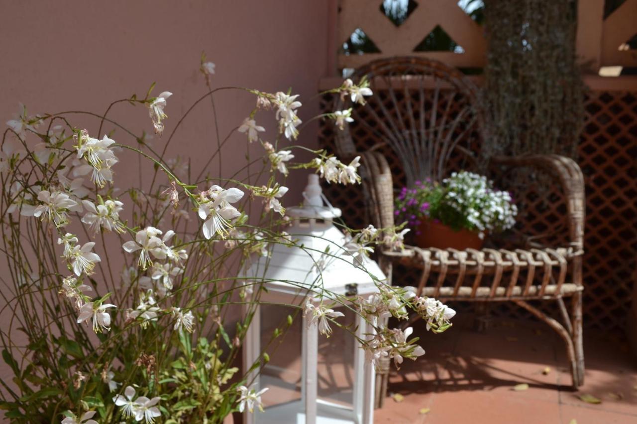 Into The Wild Green B&B Alguer Exterior foto